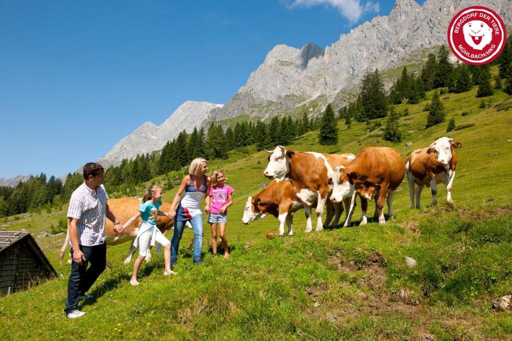 Apartments Haus Huber Mühlbach am Hochkönig Екстериор снимка