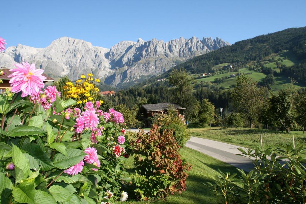 Apartments Haus Huber Mühlbach am Hochkönig Стая снимка
