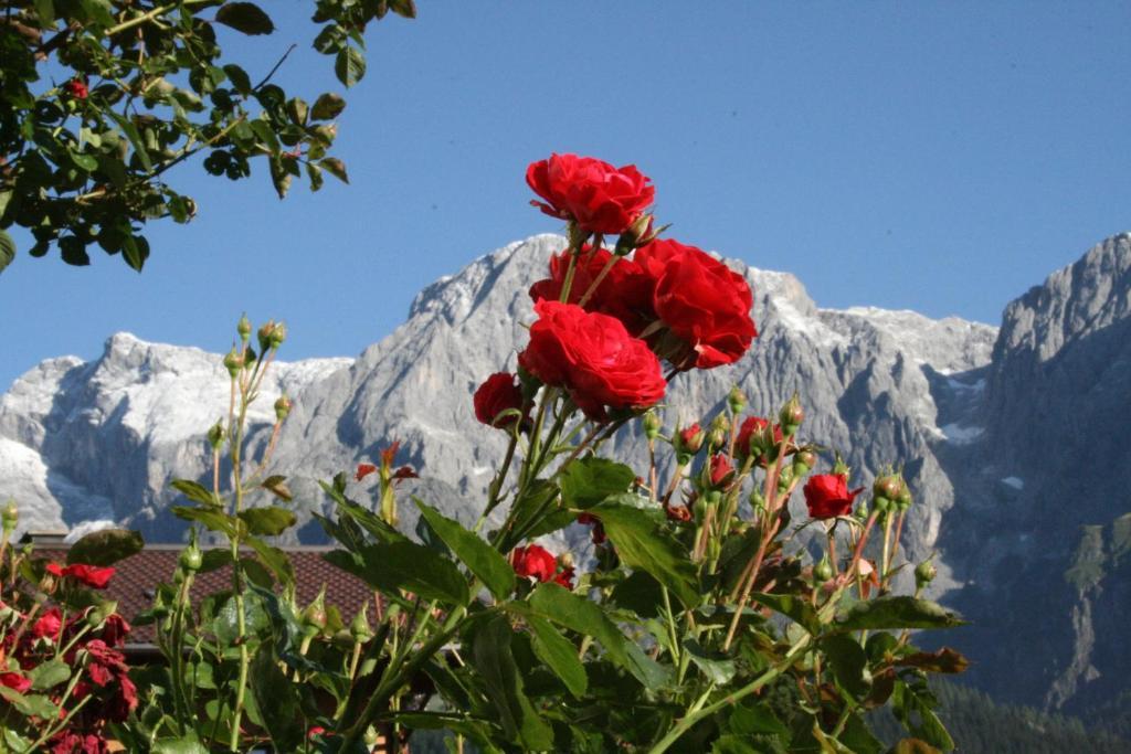 Apartments Haus Huber Mühlbach am Hochkönig Стая снимка